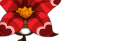 Bulbiflore