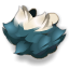 Plastron du Yech'Ti'Wawa