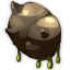 Epicuticule de Cagnardeur
