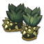 Bottes Phorzerker Bottes Phorzerker